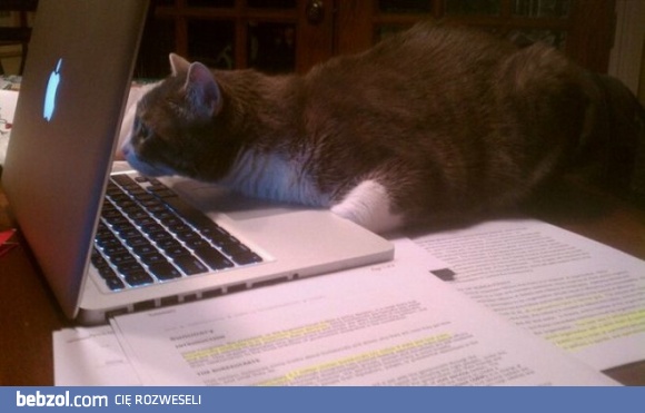 Ja już znalazłem dwie literówki 