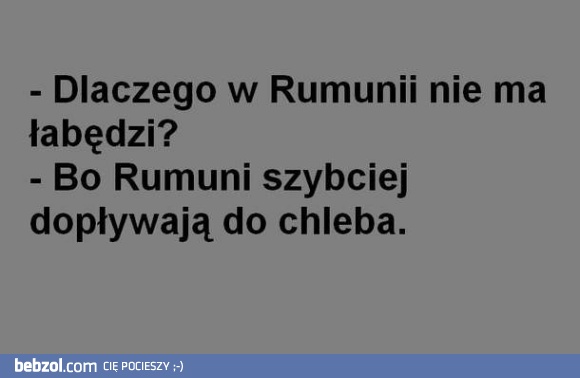 Dlaczego w Rumunii nie ma łabędzi?