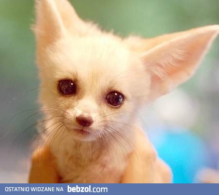 Ale pogoda aż się płakać chce..