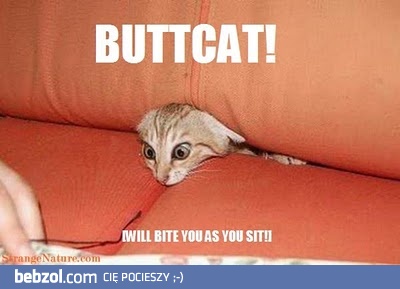 Tylko czeka aż usiądziesz...