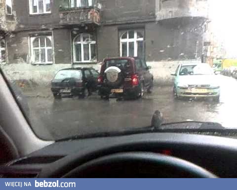 Biedny zmoknięty wróbelek :(