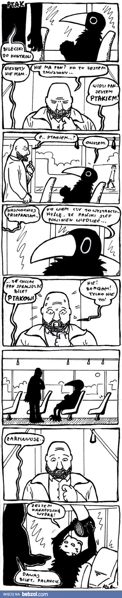 Bileciki do kontroli