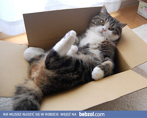 Od dziś to moje nowe łóżko 