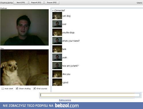 Na czacie można nawet pogadać z psem