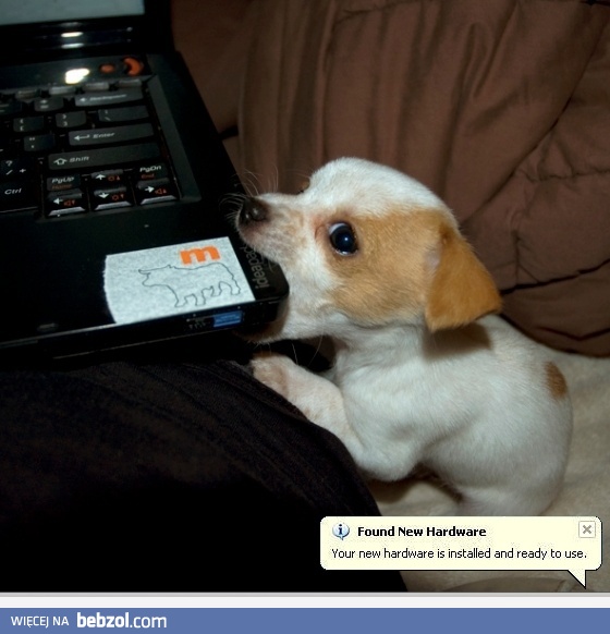 Znaleziono nowy sprzęt