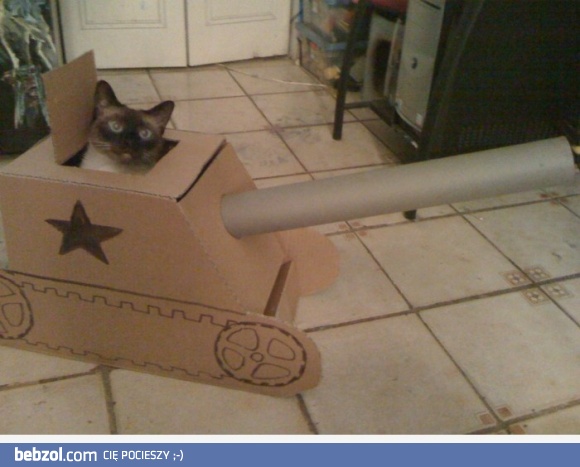 Zrobiłem czołg dla mojego kotka