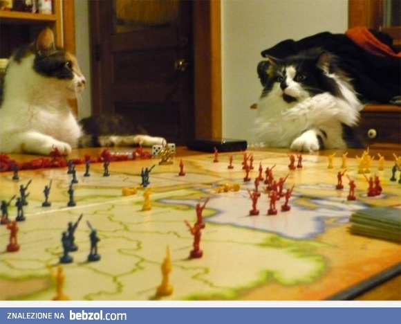 Obmyślamy plan zdobycia świata