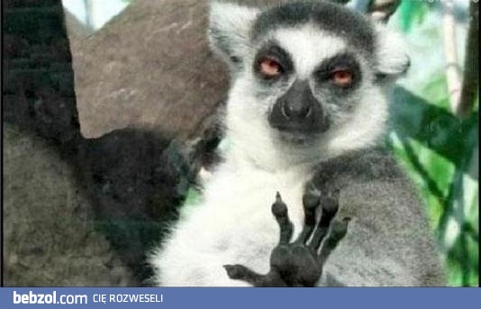 Ja pijany? Weekend jest!