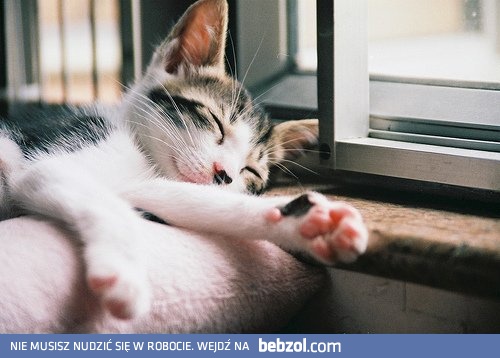 Weekend - odrobina lenistwa