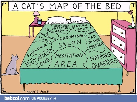 Projekt łóżka według kota