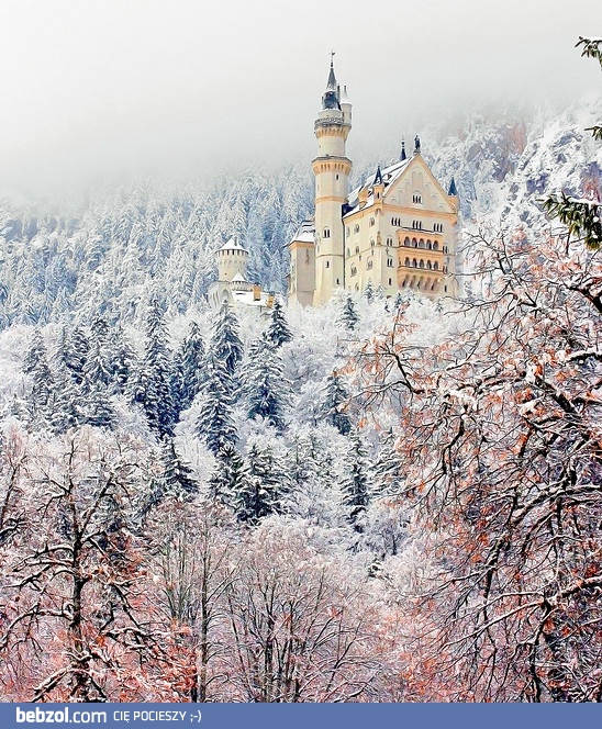 Piękny krajobraz zimowy 