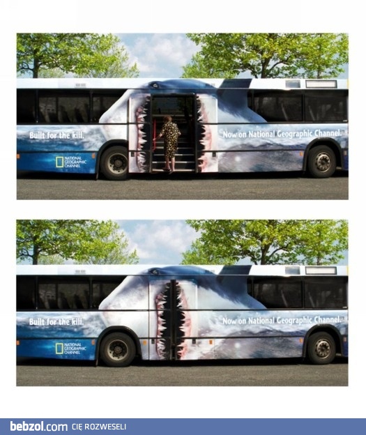 Prosto w paszczę rekina..