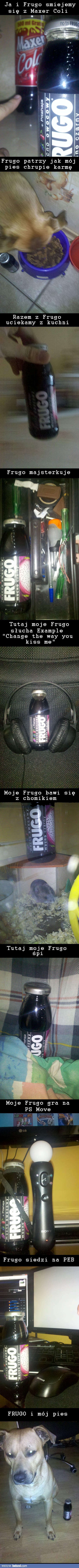 Frugo! 