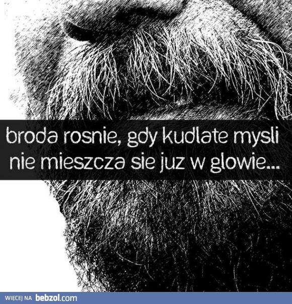 Od czego rośnie broda..