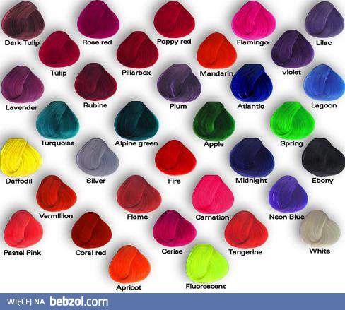 Który wybierasz tego lata?