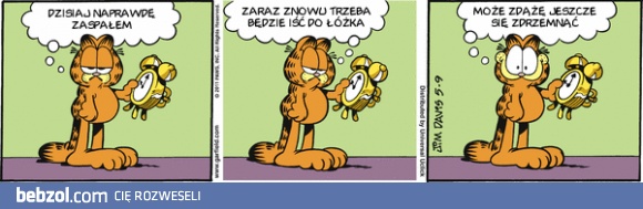 Garfield - zaspałem