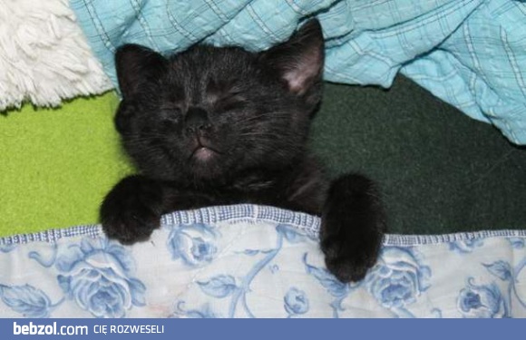 Podczas snu wygląda jak aniołek :-)