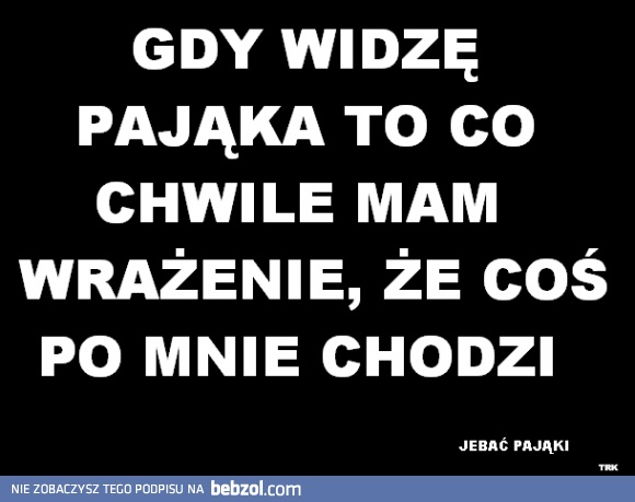 Gdy widzę pająka..