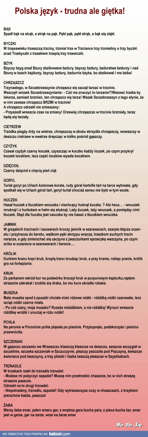 Polska język - trudna ale giętka! 