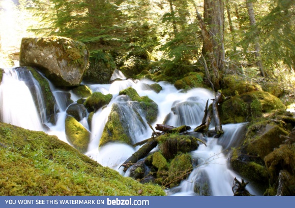 Why I love living in Oregon