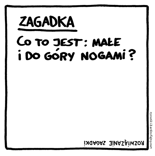 Zagadka