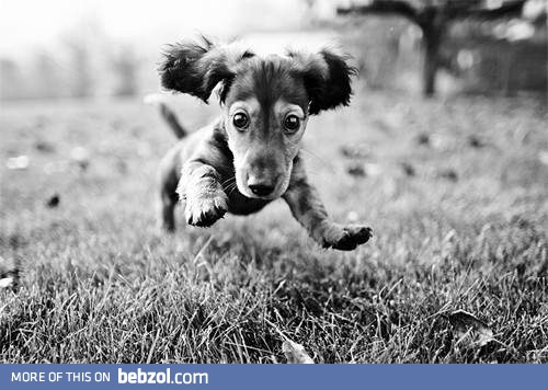 One moment! I'm coming!