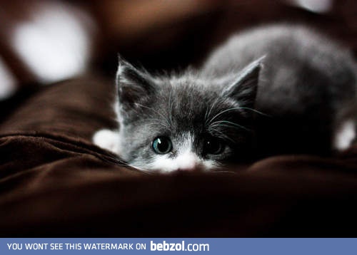 Where are you? I'm sad...