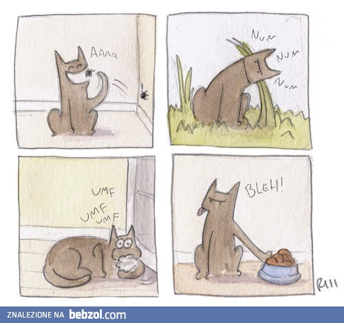 Nie rozumiem zwierzaków