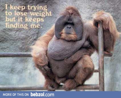 Ape