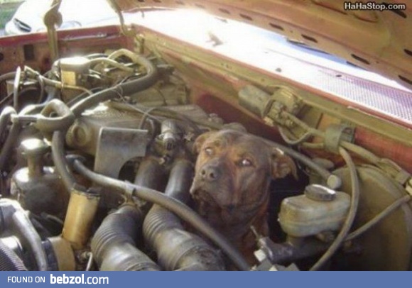 Fixing Stuff