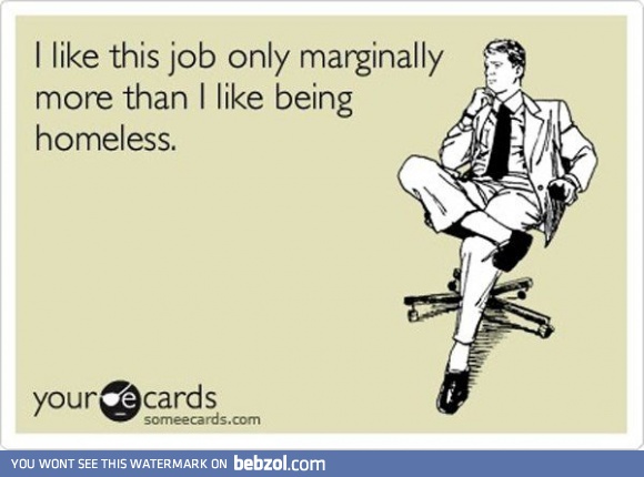 My job