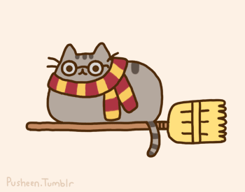Kot Potter