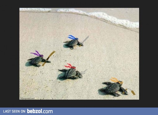 Ninja Turtles To The Rescue!