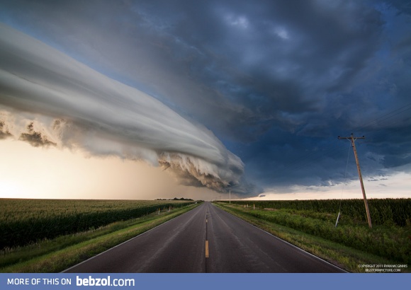 PHOTO: I cannot stop staring at this...I am completely transfixed.