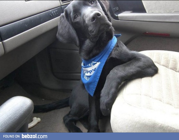 so where're we goin?