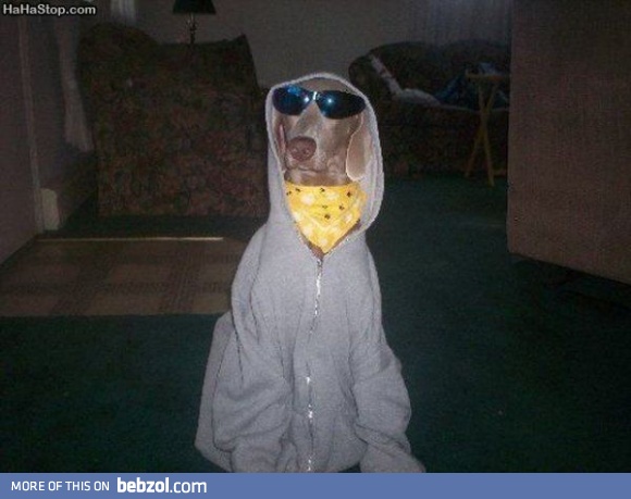Bandit
