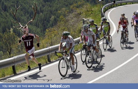 Antlers Man