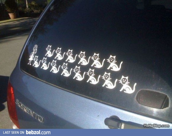 Cat Lady