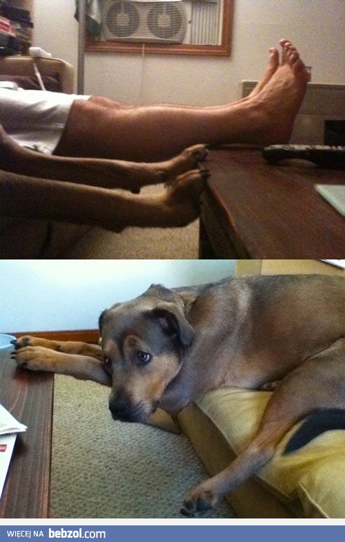 Nauczyłem się tego obserwując ciebie