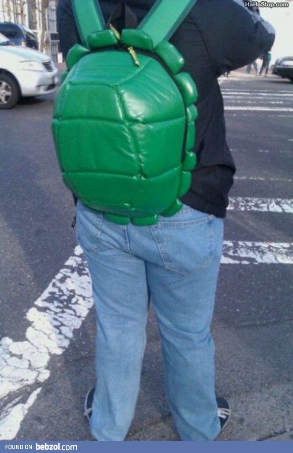 Turtle backpack