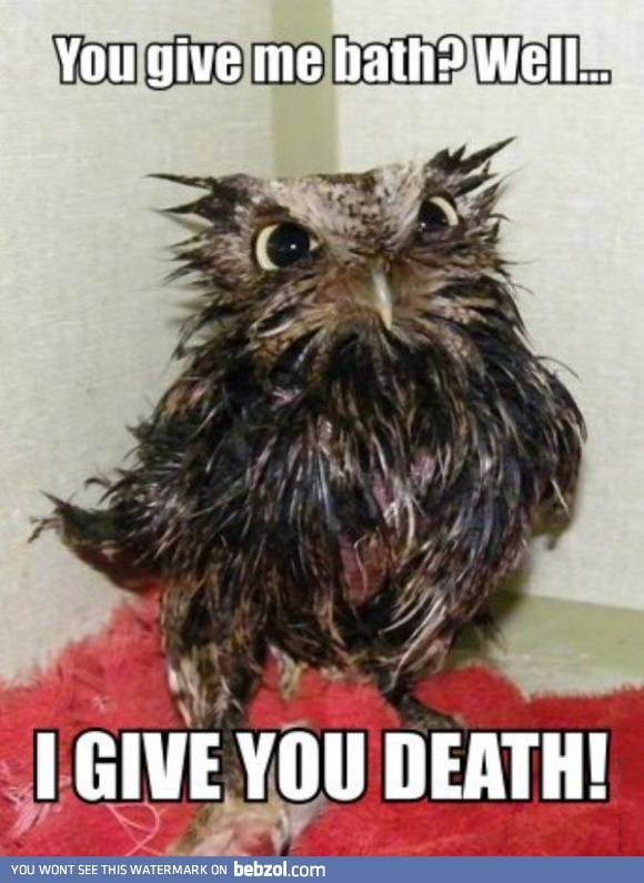You made a big mistake