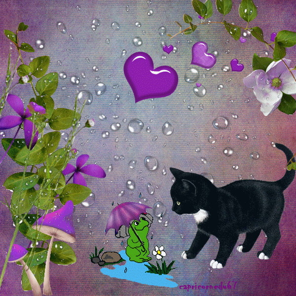 Pocałuj mnie koteczku