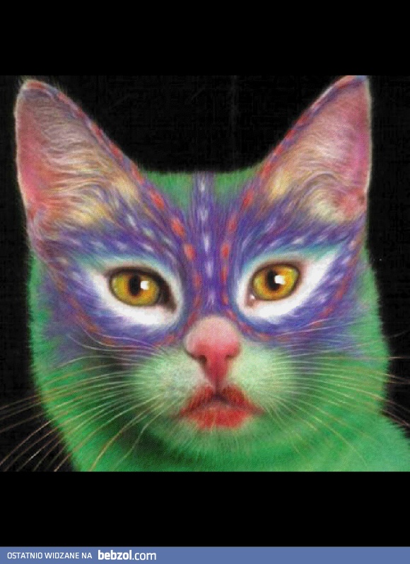 Pomalowany kot.(ludzie nie są jednak normalni...)
