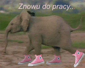 Słoń w różowych trampkach | bebzol.com