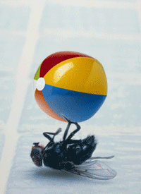 Pozdrawiam z wakacji