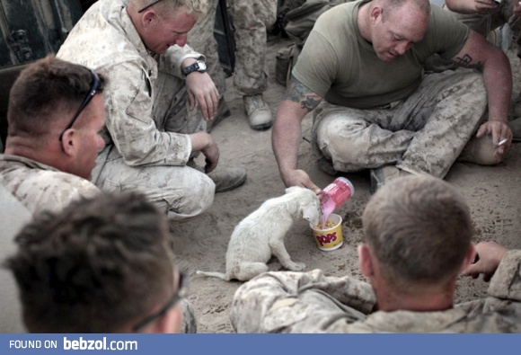 A moment of tenderness...