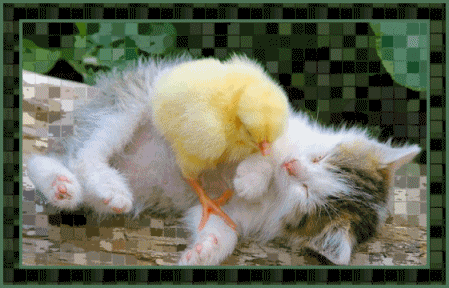 Ja Cie kocham a Ty spisz...