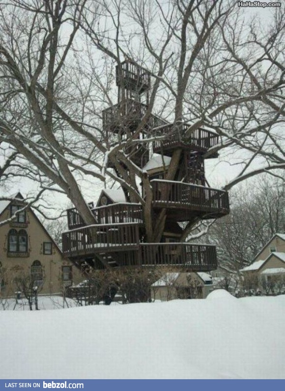 Tree house