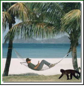 Wynocha spod mojej palmy!