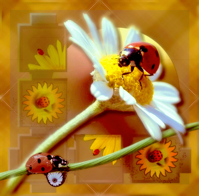 Cudownego dzionka-mało deszczu, dużo słonka!